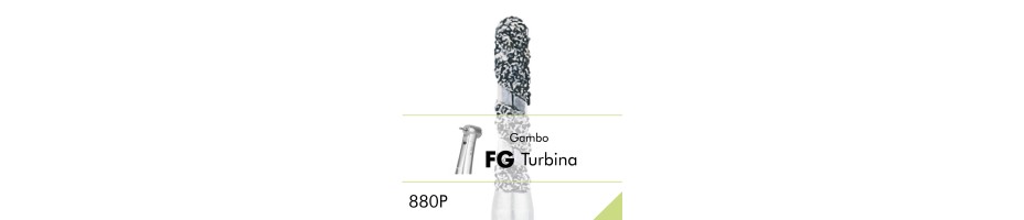880P.FG