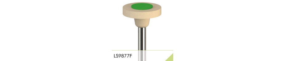 LS9877F