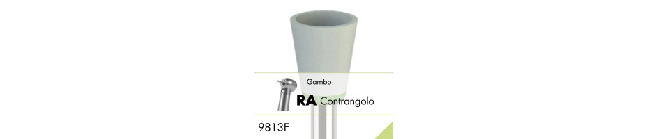 9813F.RA