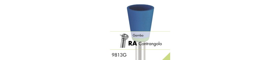 9813G.RA