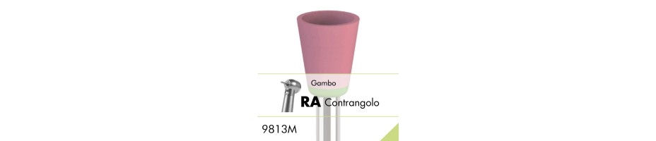 9813M.RA