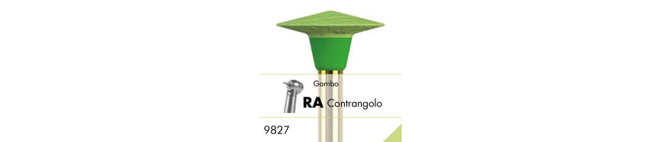 9827.RA