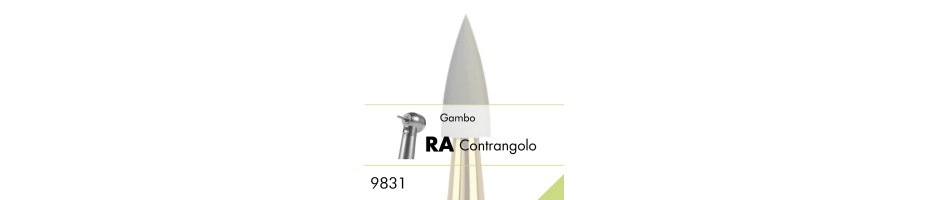 9831.RA
