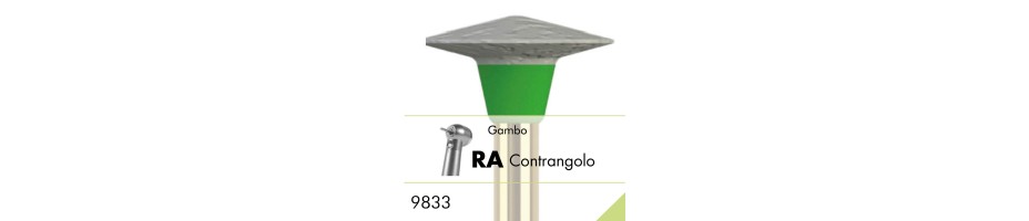 9833.RA