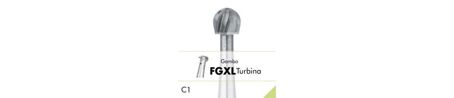 C1.FGXL