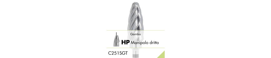 C251SGT.HP