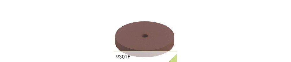 9301F