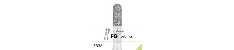 Z838L.FG