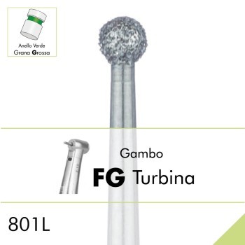 801LG.FG