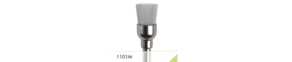 1101M