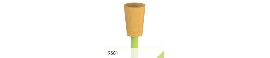 9581