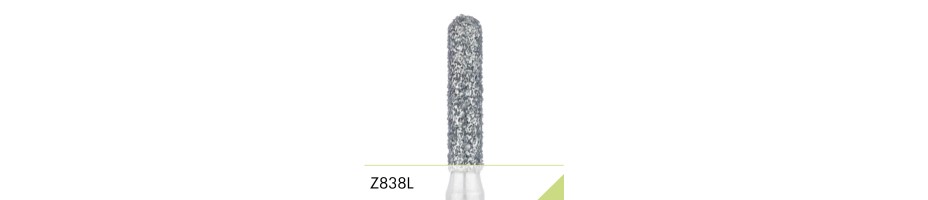 Z838L