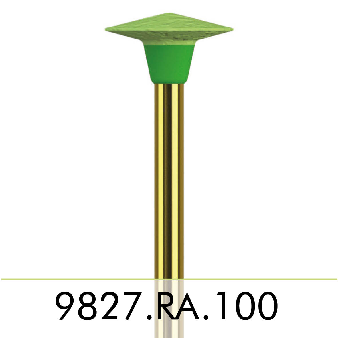 9827.RA.100.jpg